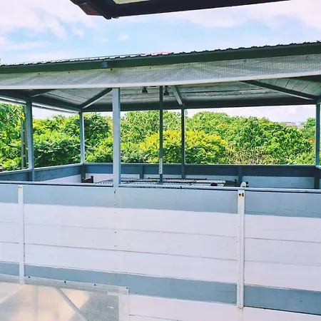 Casa Razvan Pensionat 3*