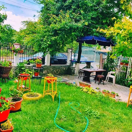 Casa Razvan * Vama Veche