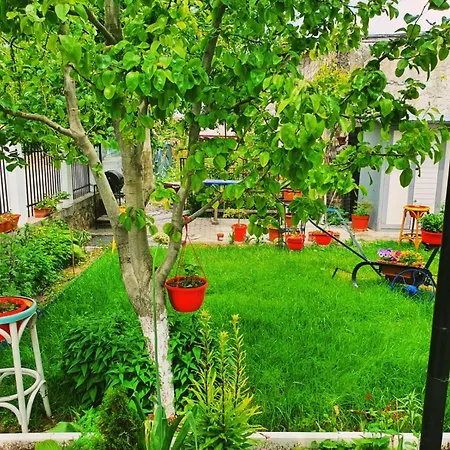 Casa Razvan * Vama Veche