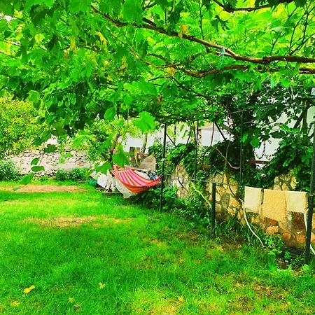 Gasthof Casa Razvan 3*