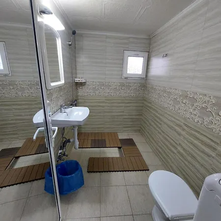 Guest house Casa Razvan