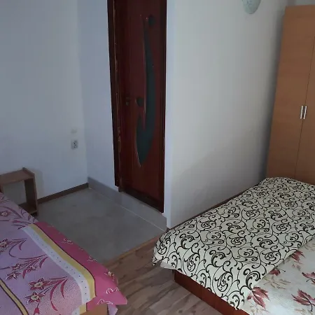 Casa Razvan Guest house