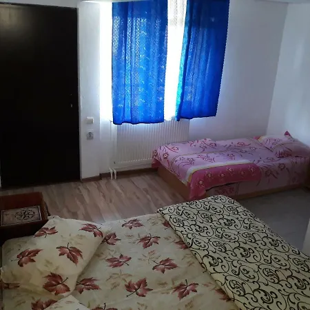 Casa Razvan Guest house