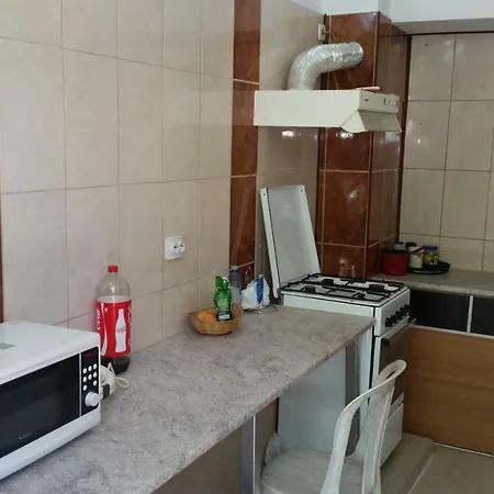 Casa Razvan Vama Veche